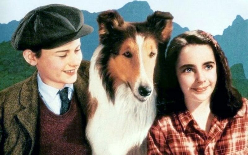 Lassie y sus secretos